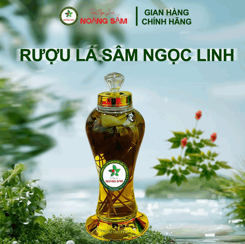 Rượu Lá Sâm Ngọc Linh